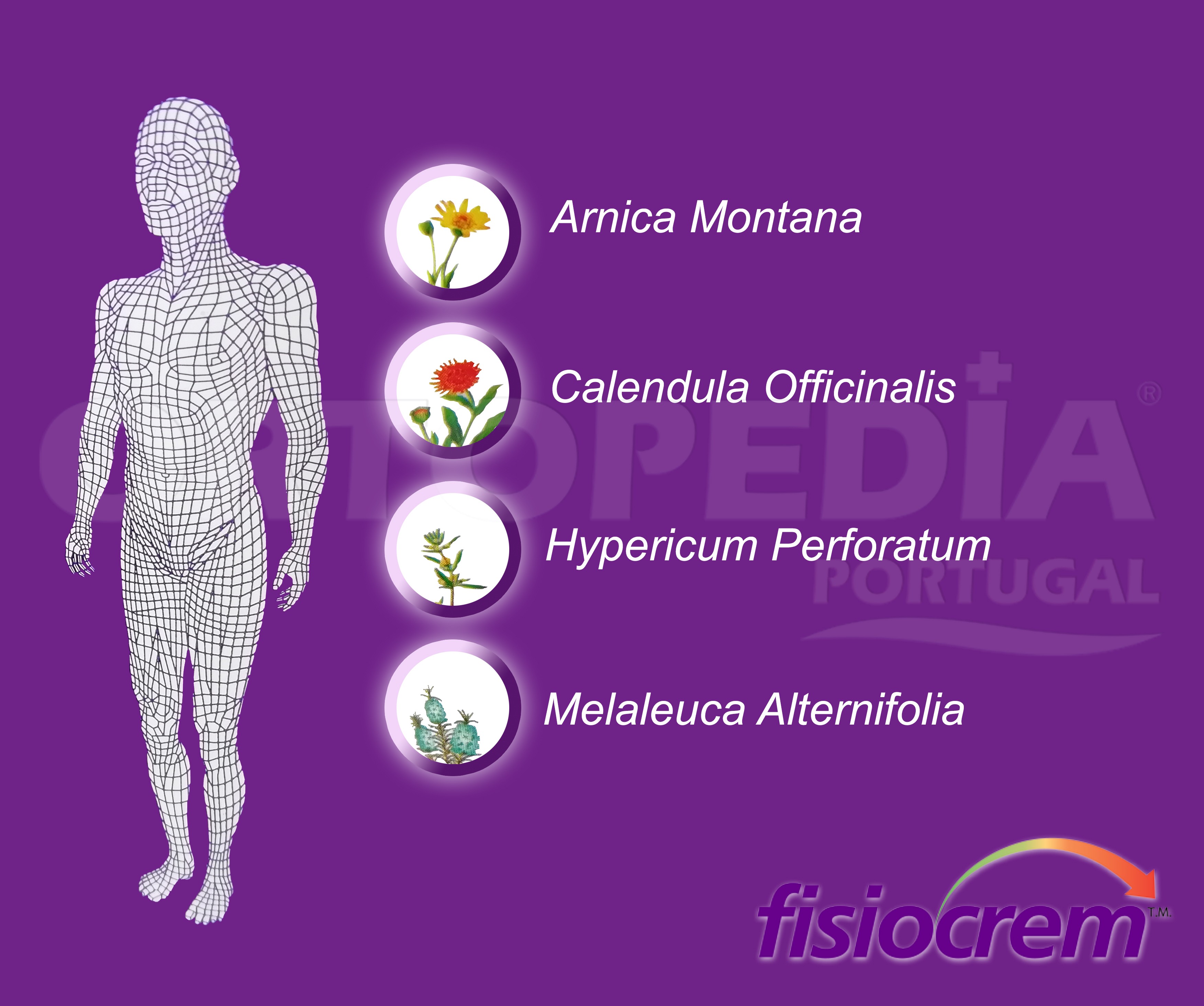 FISIOCREM — imagem 3