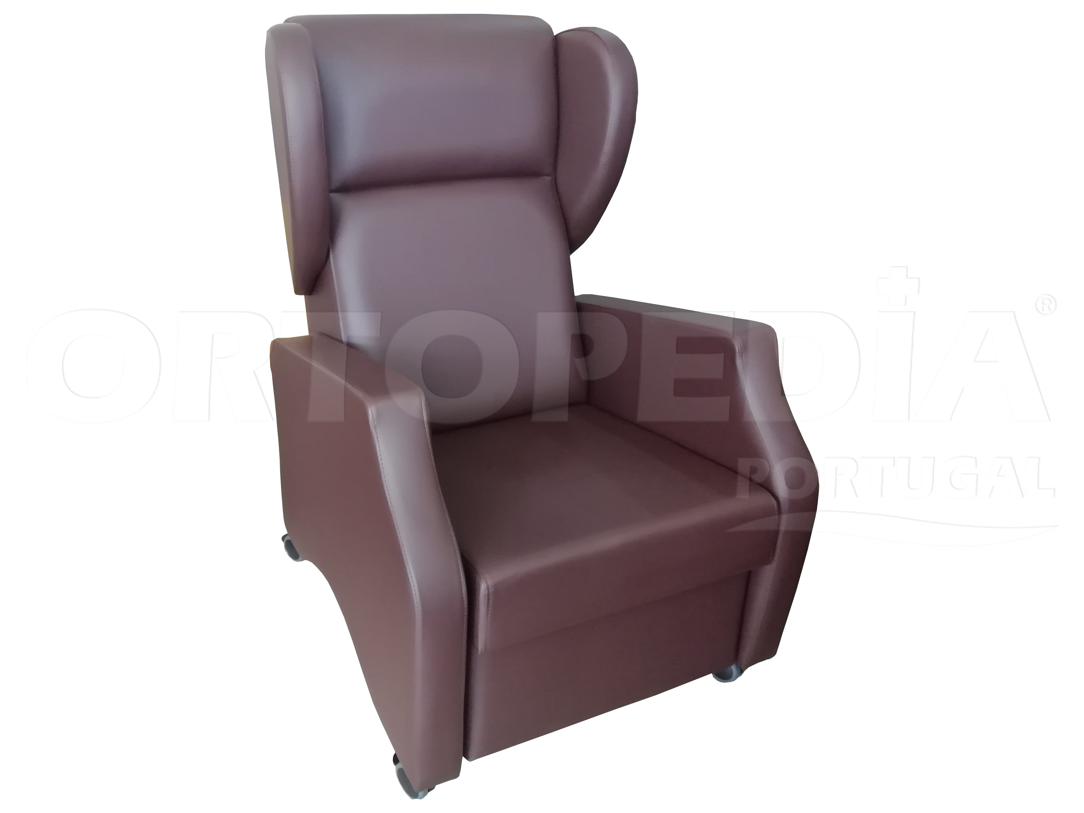 POLTRONA GERIÁTRICA MANUAL — imagem 2
