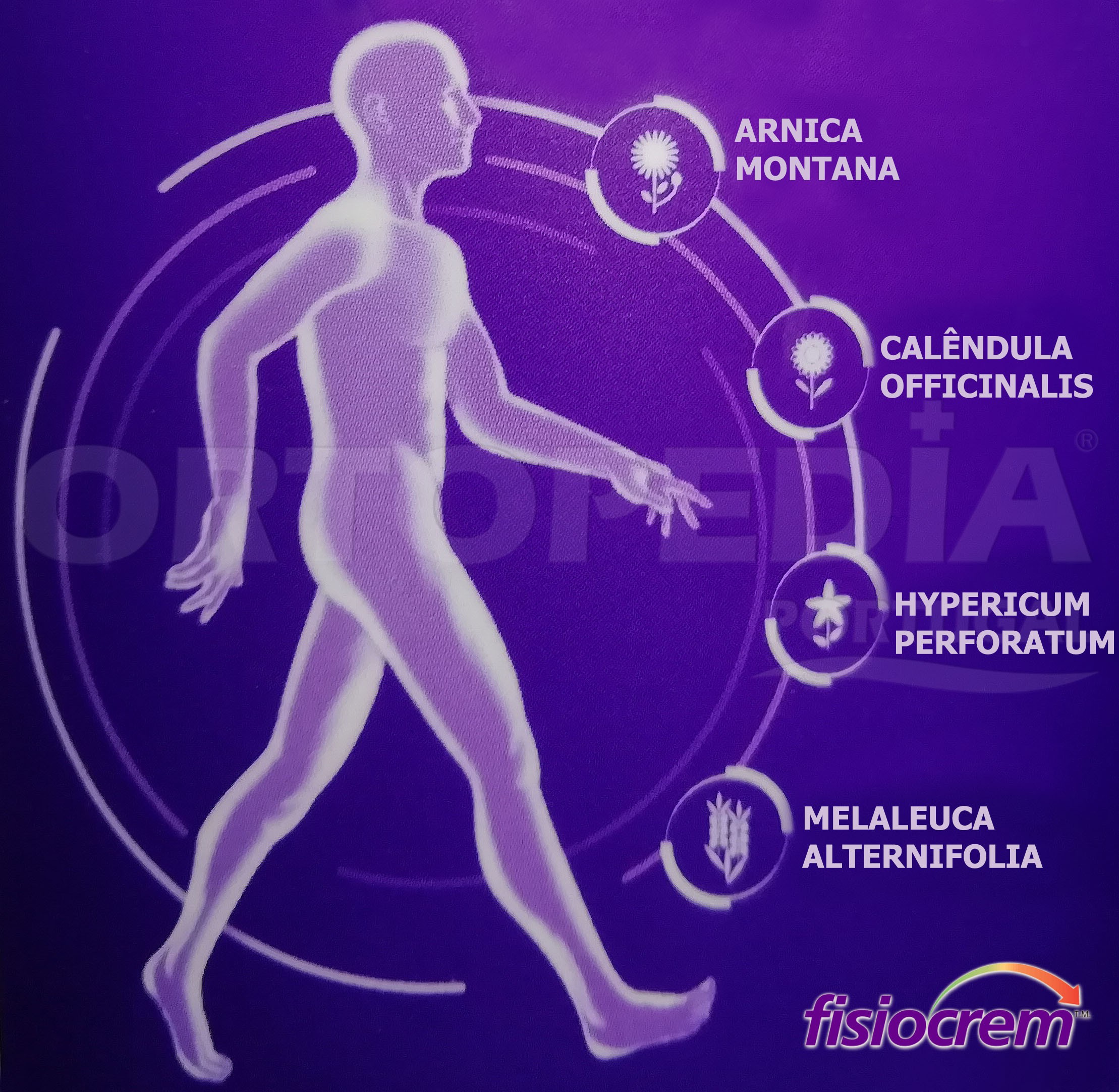 FISIOCREM 1 LITRO — imagem 3