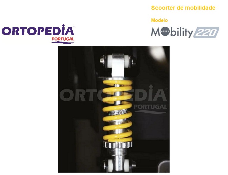 SCOOTER MOBILITY 220 MORETTI — imagem 5