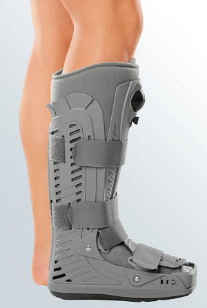 BOTA WALKER CAT